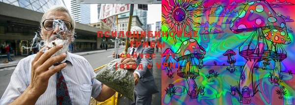 гашишное масло Богданович